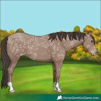 Horse Color:Classic Champagne Ice 