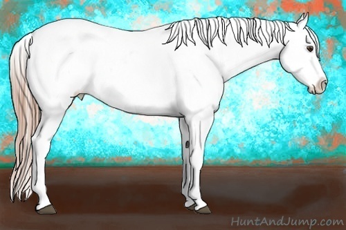 Horse Color:Liver Chestnut Ice Snowflake Varnish 
