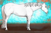 Horse Color:Liver Chestnut Ice Snowflake Varnish