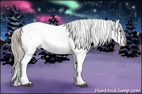 Horse Color:Chocolate Palomino Roan Appaloosa