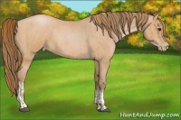 Horse Color:Blue Roan Pearl and Bay Pearl