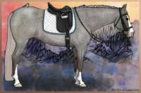Horse Color:Silver Blue Roan Sabino 