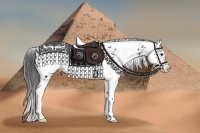 Horse Color:Black Sabino Splash