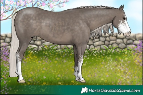 Horse Color:Silver Black Sabino 