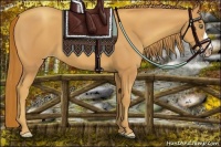 Horse Color:Gold Champagne 