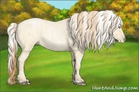 Horse Color:Buckskin Roan Pearl  and Silver Buckskin Roan Pearl 