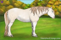 Horse Color:Buckskin Roan Pearl and Buckskin Roan Pearl Splash
