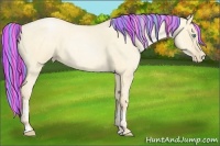 Horse Color:Painted Buckskin Roan Pearl Dun and Painted Silver Buckskin Roan Pearl Dun