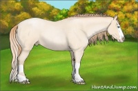 Horse Color:Buckskin Roan Pearl  and Buckskin Roan Pearl Splash 