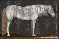 Horse Color:White Spotted Buckskin Ice Pearl  and White Spotted Liver Chestnut Ice 