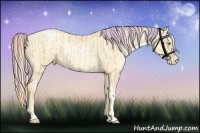 Horse Color:Painted Palomino Pearl Tobiano  and Painted Buckskin Roan Pearl 