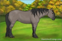 Horse Color:Grullo Rabicano