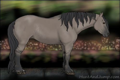 Horse Color:Grullo Rabicano 