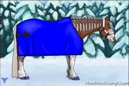 Horse Color:Silver Bay Sabino