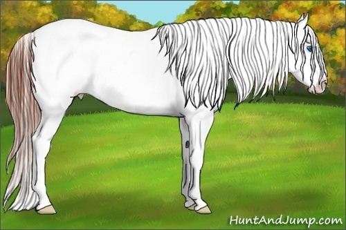 Horse Color:Brown Splash Snowflake Varnish