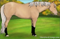 Horse Color:Silver Classic Champagne 