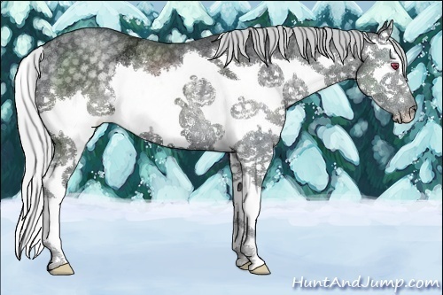 Horse Color:Silver Black Chinchilla Ice Sabino Splash Rabicano 