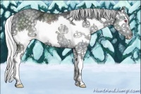 Horse Color:Silver Black Chinchilla Ice Sabino Splash Rabicano 