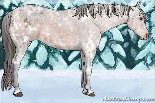 Horse Color:White Spotted Brown Ice Varnish