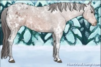 Horse Color:White Spotted Brown Ice Varnish 