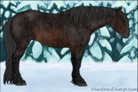 Horse Color:Brown Ice 