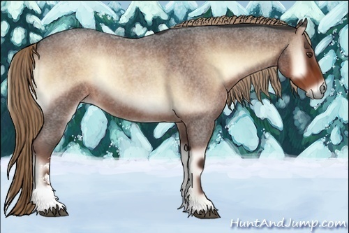 Horse Color:Liver Red Onyx Roan Sabino 