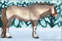 Horse Color:Liver Red Onyx Roan Sabino