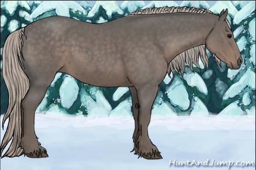 Horse Color:Silver Blue Roan