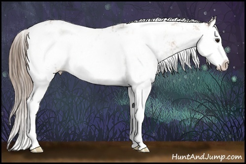 Horse Color:Black Ice Pearl Sabino Splash Rabicano 
