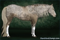 Horse Color:Liver Chestnut Ice Pearl 