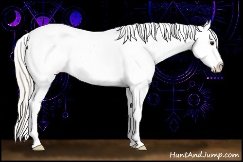 Horse Color:Silver Brown Tobiano Blanket Rabicano