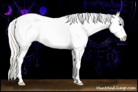 Horse Color:Silver Brown Tobiano Blanket Rabicano