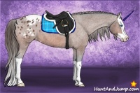 Horse Color:Bay Splash Appaloosa