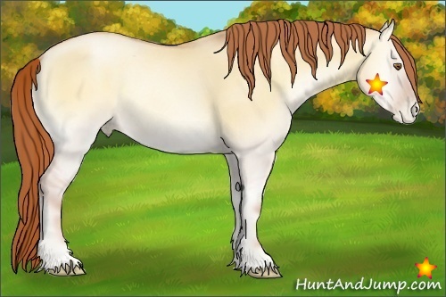 Horse Color:Classic Champagne Pearl Onyx 