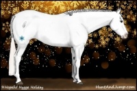Horse Color:Silver Bay Dun Snowflake Varnish 