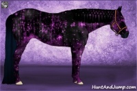 Horse Color:ERROR: UNKNOWN ANOMALY and ERROR: UNKNOWN ANOMALY