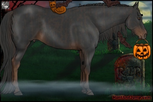 Horse Color:Liver Chestnut  and Liver Chestnut 