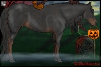 Horse Color:Liver Chestnut and Liver Chestnut