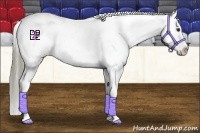 Horse Color:Liver Chestnut Appaloosa 