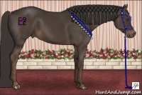 Horse Color:Liver Chestnut Sabino 