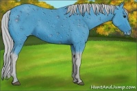Horse Color:ERROR: UNKNOWN ANOMALY