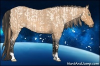 Horse Color:Buckskin Roan Pearl and Buckskin Roan