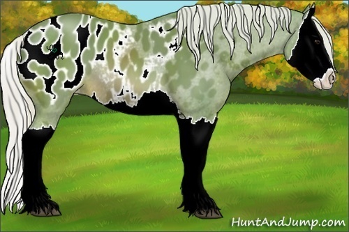 Horse Color:Watercolor Silver Brown Splash Appaloosa 