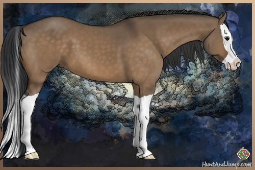 Horse Color:Bay Dun Splash