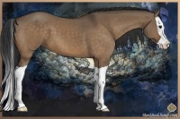 Horse Color:Bay Dun Splash 