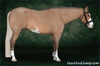 Horse Color:Silver Bay Roan Sabino