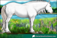 Horse Color:Liver Chestnut Pearl Sabino