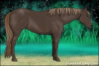 Horse Color:Liver Chestnut 