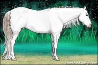 Horse Color:Liver Red Roan Splash Appaloosa 