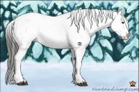 Horse Color:White Spotted Liver Red Onyx Near Leopard 